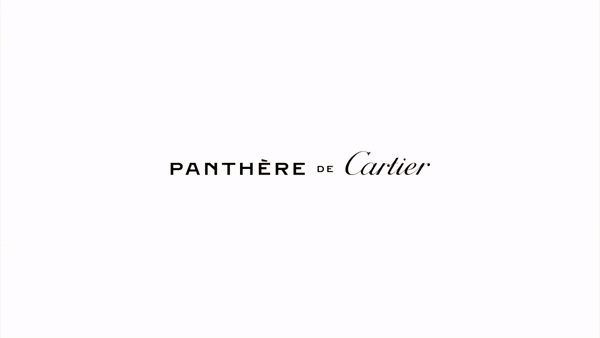 Cartier: Diablo + Panthère by Anna Lomax