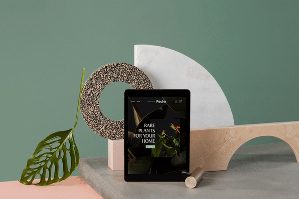 Squarespace : Build It. by Anna Lomax