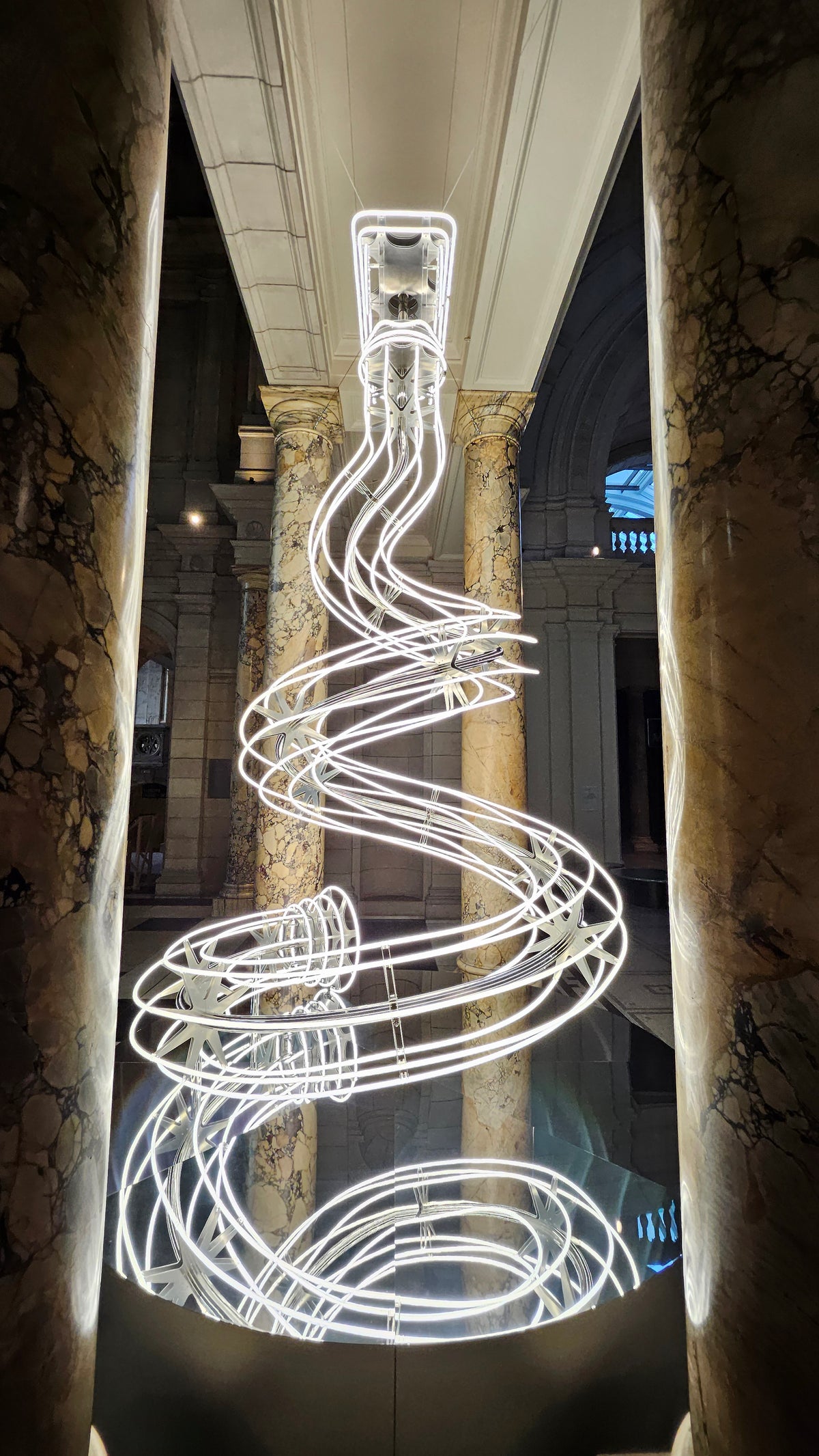All Lit Up! V&A Christmas Tree by Anna Lomax